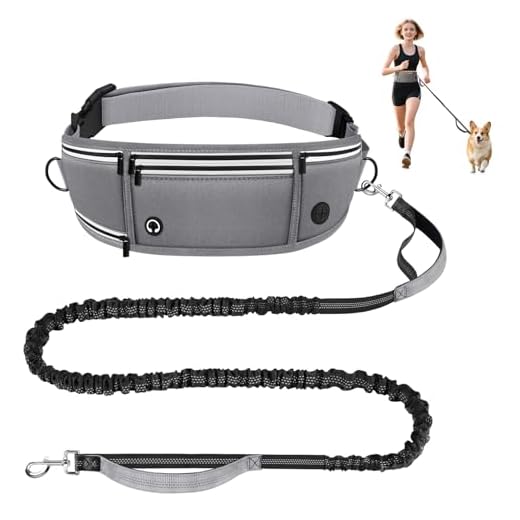 Looxmeer Correa para Perro Manos Libres con Riñonera, Correa Multifuncional con Cinta Reflectante y Doble Asa, para Perros Grandes y Medianos, 1,6-2,2M, Gris