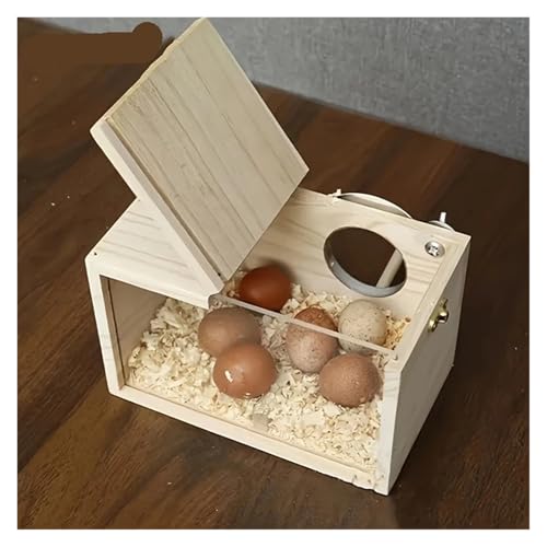 Nichoirs en bois pour oiseaux et cage décorative pour perroquets M - 6