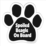 Imagine This Paw Car Magnet, Spoiled Beagle on Board, 5-1/2-Inch by 5-1/2-Inch