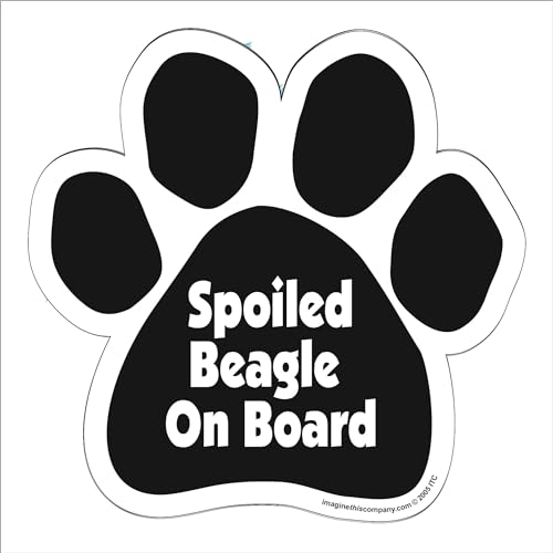 Imagine This Paw Car Magnet, Spoiled Beagle on Board, 5-1/2-Inch by 5-1/2-Inch
