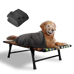 PETSAPIENS Folding Elevated Dog Bed Large Size with Blanket (42x24x8 Inch) | All-Seasons Comfort | Washable Nylon Mesh| Dog Cat Bed for All Breeds I Anti-Skid and Waterproof Bed for Dogs | Multicolor