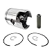 Asaki Piston Kit Compatible with John Deere JDX8/800 Snowmobile 09-666-01 0.25mm with Ring