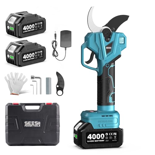 �y2026 �V�^���f���zSEESII �[�d������o�T�~ �d������o�T�~ 55mm �ƊE�ő�J���� 2 �� 4000mAh ��e�ʃo�b�e���[�t�� ���}�؂�p�����|�[���Ɛڑ��\ �u���V���X���[�^�[�̗p LED �f�B�X�v���C���� 4 �i�K�J���p�x���߉� �}�L�^