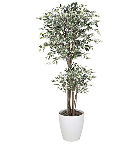 光触媒 人工観葉植物 光の楽園 トロピカルベンジャミン班入り1.6m 166G450