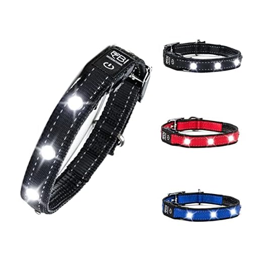 Ljushalsband för hundar [original] lysande LED-hundhalsband för promenader även i mörkret – mycket lång batteritid – säker tack vare stark ljusstyrka – hundhalsband lysande