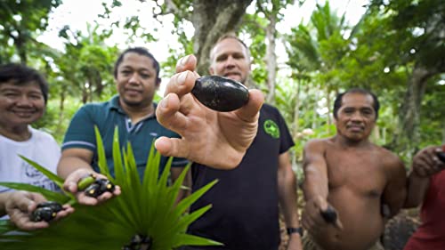 Pili Hunters - The Original Wild Sprouted Pili Nuts (1.85Oz Bags, 4-Pack) Variety Pack (Coconut Oil, Raw Cacao, Avocado Oil, Himalayan Salt) Keto/Paleo/Vegan Snacks #TOP6