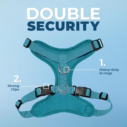 Voyager Step-in Lock Pet Harness - All Weather Mesh, Adjustable Step in Harness for Cats and Dogs by Best Pet Supplies - Turquoise, XS - 1
