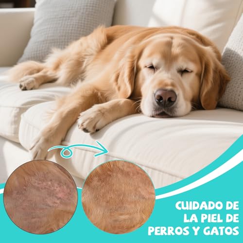 La mejor selección de Pipeta antipulgas del mes. 18 Imagen adicional