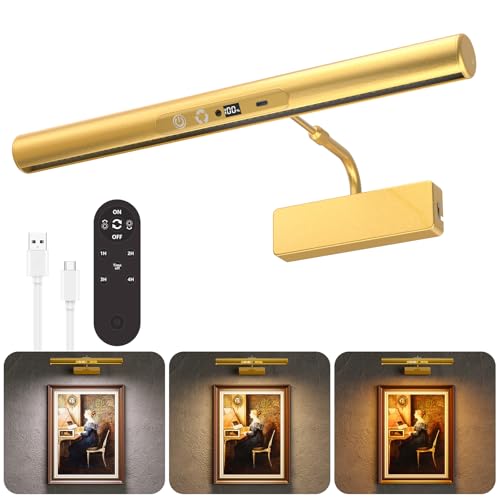 Skairipa 13-Inch Rechargeable Picture Light