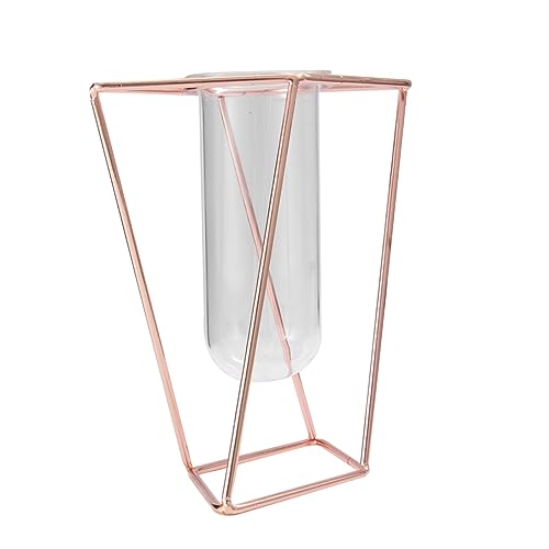 BESTonZON 1 Pièce Vase Art Géométrique Tube pour Plantes Hydroponiques Conteneur de Plantes Vertes Courte Fleurs