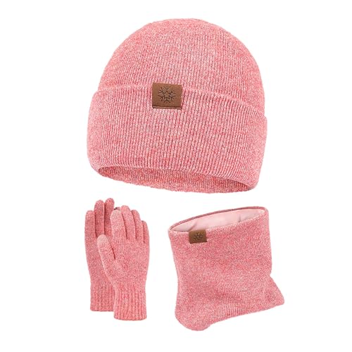 Bonnet tricoté chaud et écharpe d'hiver pour femme protégeant efficacement les oreilles