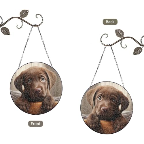 Atrapasueños de cristal para ventanas apagadas, decora con la luz de este labrador 3