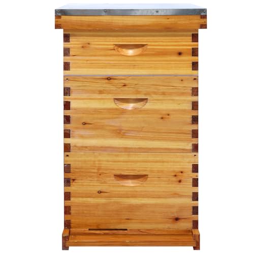 NUOMIC Langstroth 10 Frame Beehive Beeswax Coated Complete Bee Hive Boxes Starter Kit Includes 2 Deep Hive Boxes and 1 Super Hive Box with Bee Frames and Foundations
