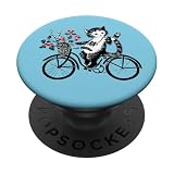 gatos, gatitos, gatitos, gatos atigrados, gatos vintage, bicicletas vintage, gato en bicicleta, gatos rayados