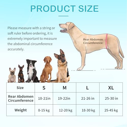 XUVIRA Dog Hip Brace for Joint Pain and Hip Dysplasia Dogs Hind Leg Lift Harness with Chest Stabilizer Straps - Image 2