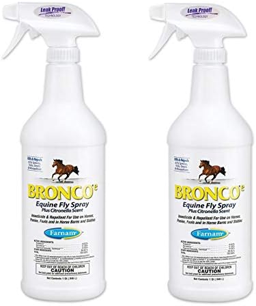 kittensplaypen collars