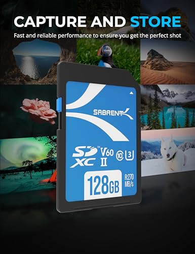 SABRENT Rocket V60 128GB