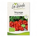 La Verde MEIN GARTEN UND ICH. Voyage Reisetomate BIO Tomatensamen für ca. 8–10 Pflanzen, aromatische Fleischtomate, Saatgut ohne Gentechnik