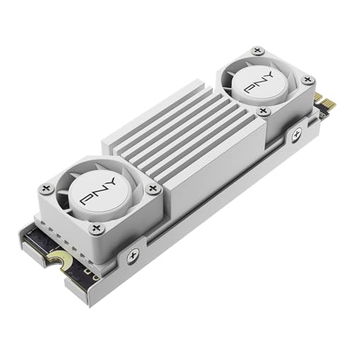 SSD Interno CS3150 2TB M.2 NVMe con dissipatore di calore bianco - M280CS3150HSW-2TB-RB - Hdd - Immagine 1