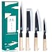 SHANGDAO Set da Cucina Giapponese per Chef di 4 Coltelli Set Set di Coltelli per Sushi, Coltello da Cucina Nakiri-Yanagiba-Deba-Utility, Set di Coltelli per Affettare Pesce