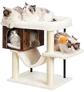 Heybly Kratzbaum, Mit Extra Großer Plüschplattform 54 x 40cm Und Holzhaus Gesamthöhe 57.5 cm Eise...