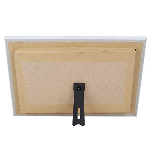 Cikonielf Farfalle Squisite Esemplare di Insetti