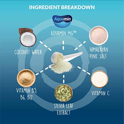 Core Culture Cucumber Melon Electrolytes Powder - Refreshing Rapid Hydration Electrolyte Drink Mix To Recover & Recharge - Naturally Sweetened, Keto Electrolytes Powder No Sugar, 10 Cals - 45 Servings #TOP4