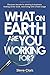 What on earth are you working for?