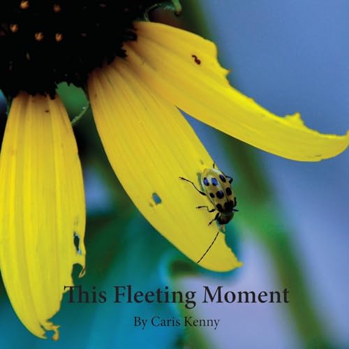 This Fleeting Moment