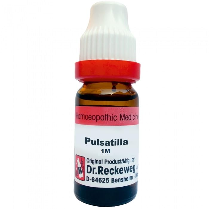 PULSATILLA NIG 1M 11ML Dr. Reckeweg (B0D94KPV5X) Amazon Price History, Amazon Price Tracker