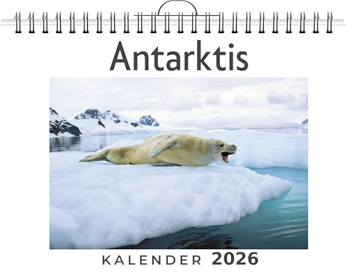 Antarktis: (Wandkalender 2026, Kalender DIN A4 quer, Monatskalender im Querformat mit Kalendarium, das perfekte Geschenk)