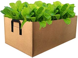 Amazon.es: Últimos 90 días - Jardinería: Jardín
