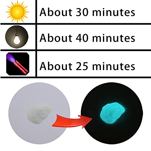 Fluorescent Powder, 100g Professional Luminescent Pigments Phosphorescent Colour Photoluminescence Non-Toxic Aluminium Strontium Neon Night Lights in Dark Pigments Yellow Green