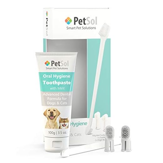 PetSol Kit de Cuidado Dental para Perros (Mejora la higiene bucal previene la Enfermedad de Las encías y la Placa) Menta
