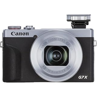 Canon PowerShot G7X Mark III Digital Camera with 4.2X Optical Zoom Lens (Silver) International Model