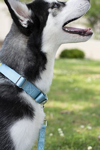 Country Brook Petz - Ocean Blue Martingale Heavy Duty Nylon Dog Collar - 21 Vibrant Color Options (1 Inch Width, Medium) #TOP1