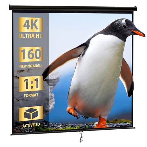 SUPER DEAL 120'' Projector Screen Projection Screen Manual Pull Down HD Screen 1:1 Format for Home...