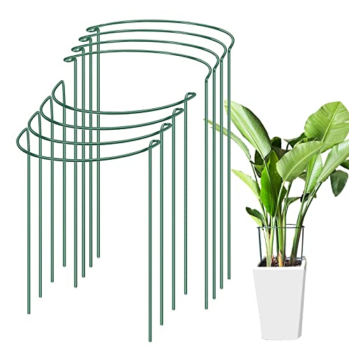 8 Stück Pflanzenstützen, großer, starker Ringkäfig für Pfingstrosen, Tomaten, Rose, Blumen, halbrunde grüne Metallbogen-Pflanzenunterstützung für Garten und Innenbereich, schwere Pflanzen (30x60 cm) Cover