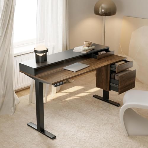 HUANUO Electric Standing Desk with Storage