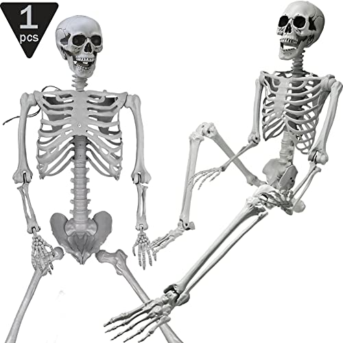 5.4ft 165cm Halloween Skeleton, Posable Life Size Human Skeletons, Full Body Realistic Bones with Movable Joints for Halloween Spooky Party Decoration, Yard Lawn Outdoor Haunted House Props Decor