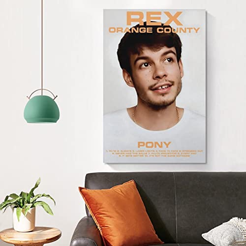 Impression Rex Orange County Pony idée cadeau idéale 50x75 cm pour ados - 5