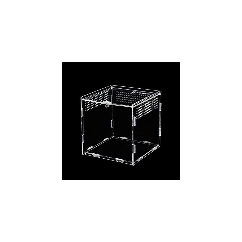 Boîte d&rsquo;alimentation D&rsquo;insectes, Boîte à Nourrir en pour Reptiles, Terrarium Acrylique avec Interrupteur Magnétique pour Reptiles, Spide, Lézard, Scorpion, Mille-Pattes, Grenouille cornue, 9x9x9.5cm