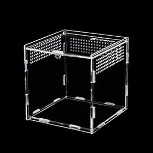 Boîte d&rsquo;alimentation D&rsquo;insectes, Boîte à Nourrir en pour Reptiles, Terrarium Acrylique avec Interrupteur Magnétique pour Reptiles, Spide, Lézard, Scorpion, Mille-Pattes, Grenouille cornue, 9x9x9.5cm