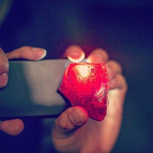 『EP 22: Murder House - Part II』のカバーアート