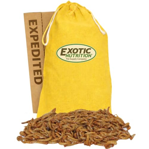 Exotic Nutrition 1000pk Live Mealworms (1/2)