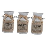 Conteneur seau : il est fabriqué à partir de matériaux en fer sûrs et doux, qui ne seront pas facilement endommagés et peuvent être durables pendant longtemps.