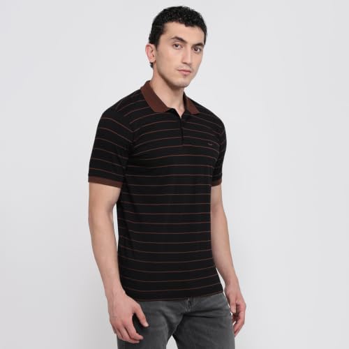 Image of Park Avenue Men Slim Fit Stripe Pattern Pure Cotton Polo Neck Half Sleeve Casual T-Shirt