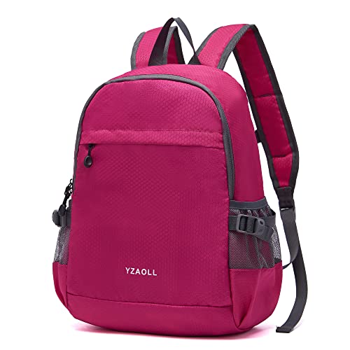 Hiking Backpack 20L Packable Packable Lightweight Day Pack for Women & Men - image 8