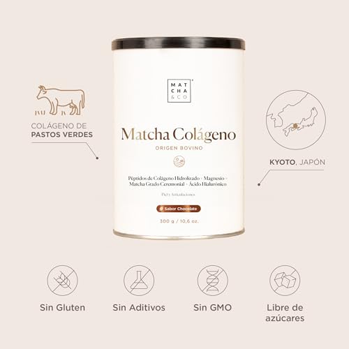 Colágeno con ácido hialurónico y magnesio de chocolate para frenar el desgaste articular 2