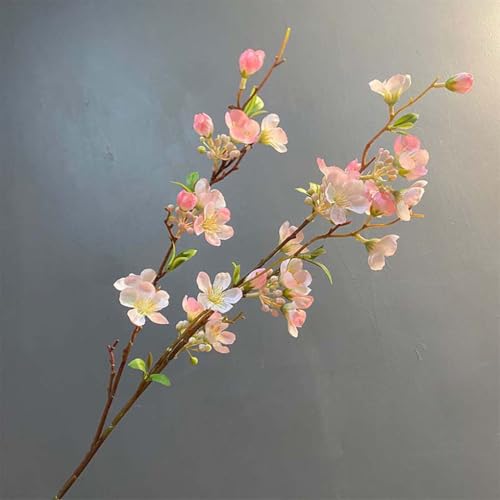 Foxace  S̉ 4{ sN tFCNt[ k CeA Ȃ  X^CbV A[eBtBVt[ A { ̓ JXj